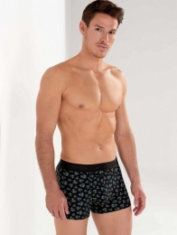 HOM-BoxerBriefsHO1-Dizzy-I004MaatL