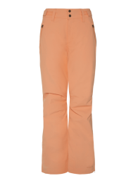 ProtestWCinnamonSnowpants