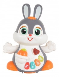 HolaToysDancingBunnyEducatiefSpeelgoed