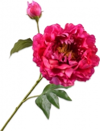 Kunsttakpioenroosbeauty-79cm-Hortus