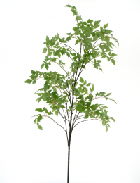 Birchtreegreen196cmkunstbloemNovaNature-Erutanavon
