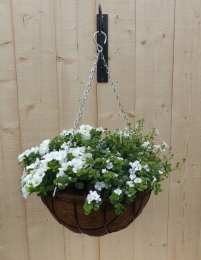 Hangingbasketzomerbloeierswith25cm-Warentuinnatuurlijk