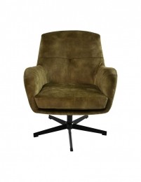 FauteuilClevelandgroenzwartpolyester