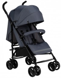 MomiAkiraGrayCompacteBuggyWOSP00045