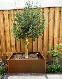 CortenstalenplantenbakCinta