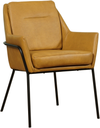 CognaclerenindustriledesigneetkamerstoelMix-GranadaleerAmbercognacleer