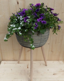 Rietenplantenbakgrijsoppotenmetzomerbloeierspaarsblauwh55cm-Warentuinnatuurlijk