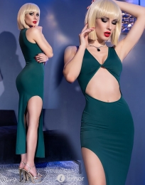 CHILIROSEGroenelangejurkCR4445