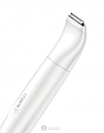All-in-oneLadyshave