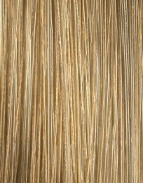 LOralProfessionelINOAGoldFundamentals83F60gr