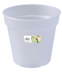 Greenbasicsorchidee15cmtransparant-Elho