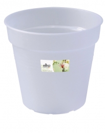 Greenbasicsorchidee17cmtransparant-Elho