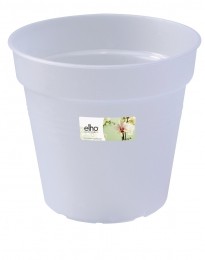 Greenbasicsorchidee15cmtransparant-Elho