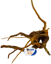 SpiderwoodSmallaquariaSuperFish-Superfish