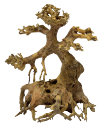 BonsaiDriftwoodXsaquariaSuperFish-Superfish