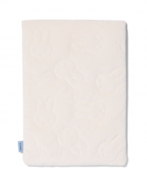 HEMALaptophoesnijntje15inch