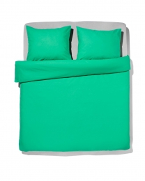 HEMADekbedovertrek240x200220cmzachtkatoengroenfelgroen