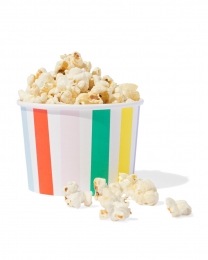 HEMAPapierenbakjesstreep4stuks