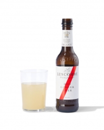 HEMALuscombehotgingerbeer027L
