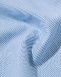 HEMADekbedovertrek200x200220cmflanelstrepenlichtblauwlichtblauw