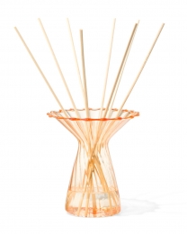 HEMAVaasvoorgeurstokjes10x12cmglasmetkraaggeelgeel