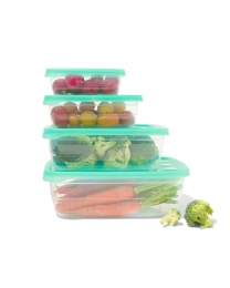 HEMAVershoudbakjes300ml-4Stuks