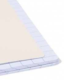 HEMASchriftA4Ruiten10x10mmBloemen-2Stuks
