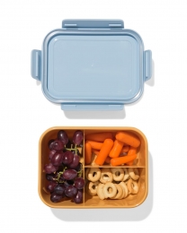 HEMALunchbox198x148x8cmLichtblauw-bruin