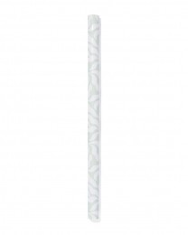 HEMACadeaupapier200x70Bladeren