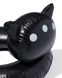 FiepWestendorpSiepieZwemring60cm
