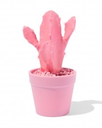 HEMAKunstplantCactusRozeroze