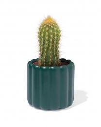 HEMABloempot65x7cmKeramiekAardewerkDonkergroendonkergroen