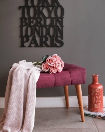 KrukNewCoolHannahHome