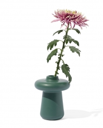 HEMAVaasDonkergroendonkergroen