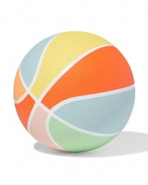 HEMABasketbalGekleurd