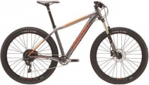 Mountainbikes