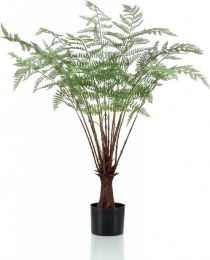 Fernplant100cm-Emerald