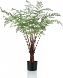 Fernplant100cmEmerald-Emerald