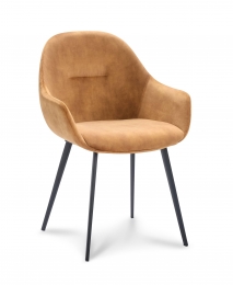 Setvan2eetkamerstoelenSwiftvelvetMAYInteriors