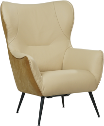 lerenmoderneoorfauteuilFlair-leer
