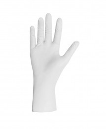 LOralGenericGlovesL100St