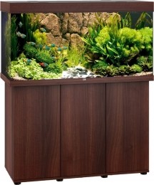 JuwelmeubelbouwpakketSBXRio300350donkerbruin-Gebrdeboon