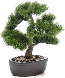 Bonsai5-Driesprongcollection