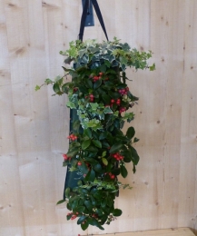 Hangzakvasteplantennajaar-Warentuinnatuurlijk