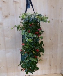 Hangzakvasteplantennajaar-Warentuinnatuurlijk