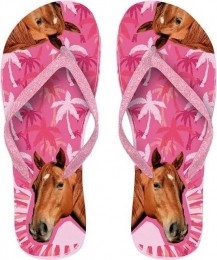 SlipperFlipFlopPaardmaat37-39