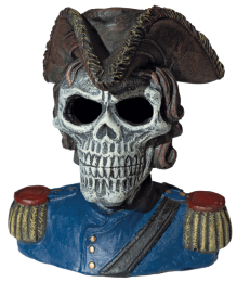 Superfishdecoledskullpirate-Superfish