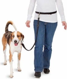 PawiseHandsFreeDoggyBikeJoggerKit