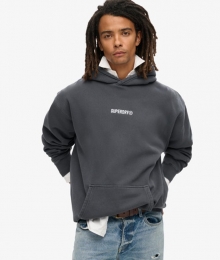 HoodiemetLossePasvormenKleinLogoDonkergrijsGrootteXL