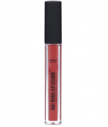 Make-upStudioLipGlossPaintRosewood45ml
